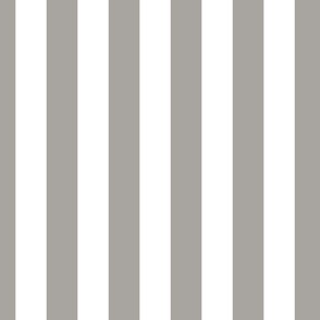 Grey and white stripes