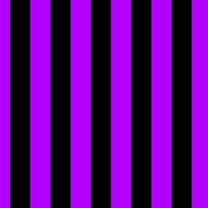 Purple and black stripes