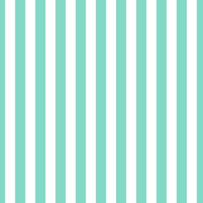 Turquoise stripes
