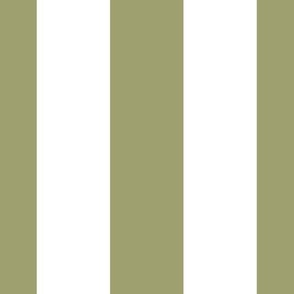 Sage stripes