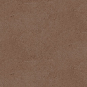 Solid Dirt Brown Textured