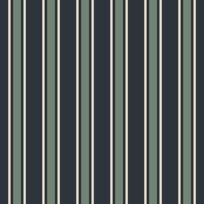 Spring garden regency heritage stripe - midnight and slate on light teal - traditional stripe for decor