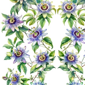 passion flower vine watercolor, mirrored, half drop