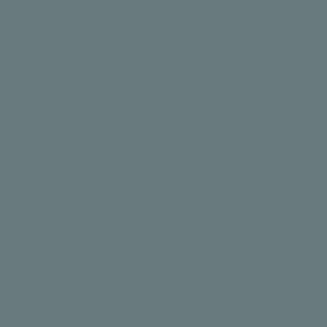 Slate solid (#697a7e) Spring Garden collection - blue-grey, smoke, gunmetal