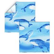 Whales swimming in tranquil waters in the deep blue ocean on ocean blue and aqua blue background