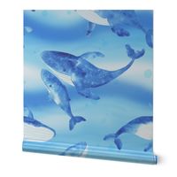 Whales swimming in tranquil waters in the deep blue ocean on ocean blue and aqua blue background