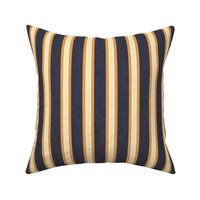 French Provincial Stripes Anchorage Blue and Clementine Orange Medium 