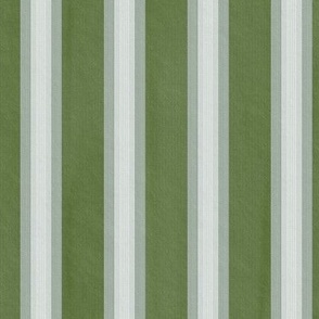  French Provincial Stripes Bitter Green Medium 