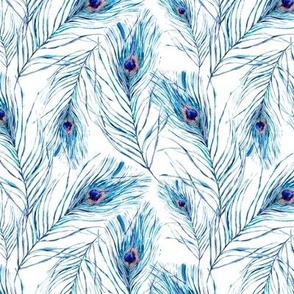 Watercolor blue peacock feathers on white