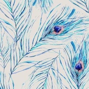 Watercolor neutral blue peacock feathers on white