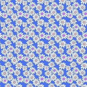 Daisies on Periwinkle - Tiny