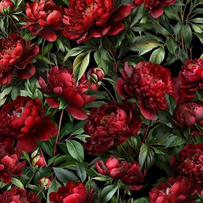 peonies, dark red on black bg, illustration