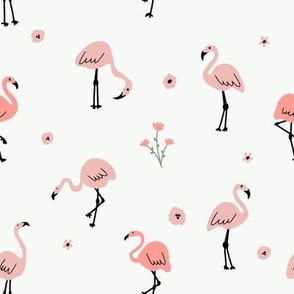 flamingo (1)