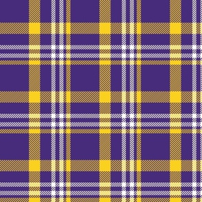 L ✹ Purple and Yellow Plaid Tartan - Traditional