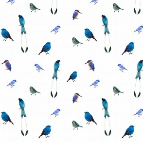 Tropical Birds Blue