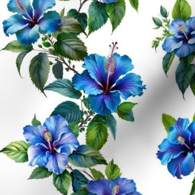 blue hibiscus vine, illustration
