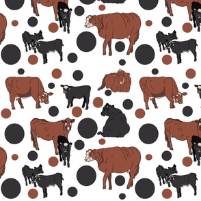 cows with brown and black dots