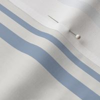 Parallel Lines: white Thick and light blue Thin