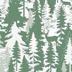 467. Conifer forest