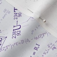 Equations (Purple)