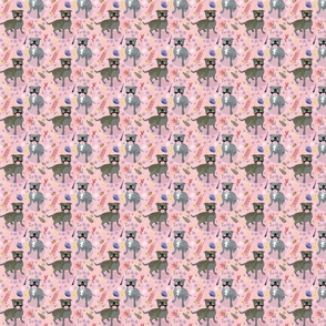Staffy Australiana fabric pink med