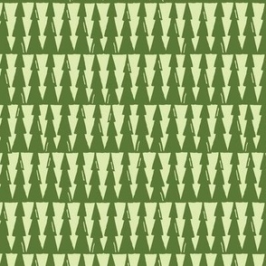 Evergreen Rows