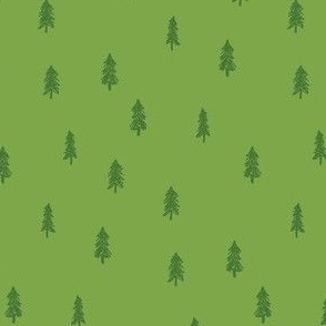 Tiny Evergreen Forest
