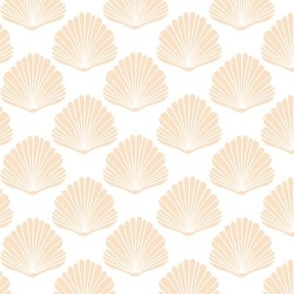 Peach Scallop Seashells