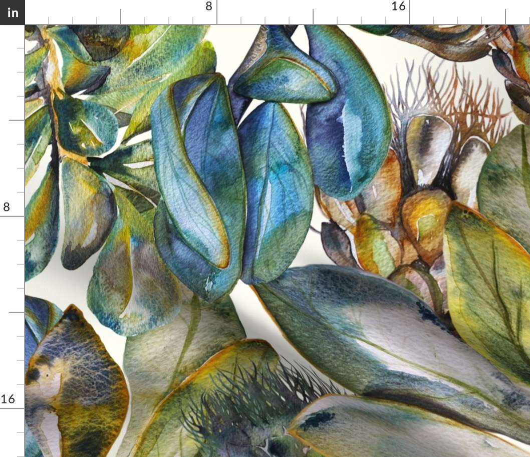 Watercolour of Protea nitida. Inspiration and tranquility.