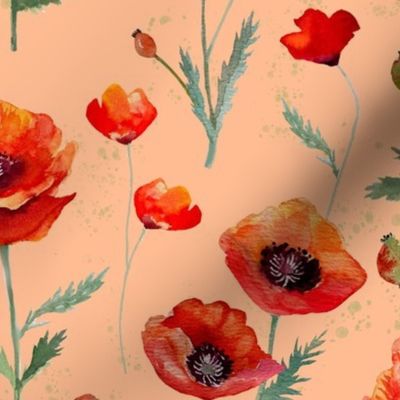 Watercolor Oriental Poppies on Peach Fuzz