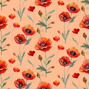 Watercolor Oriental Poppies on Peach Fuzz