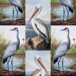 Crane and Pelican Vintage Bird Art 6 Inch Stripe