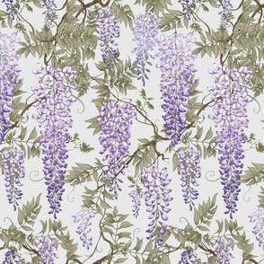 Wisteria violet grey  japanese