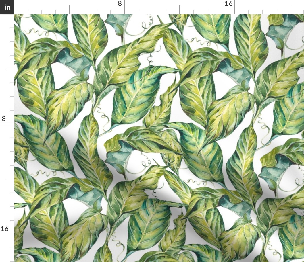 Greenery, tropical watercolor leaves on white
