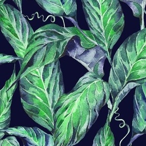 Greenery, tropical watercolor leaves on black