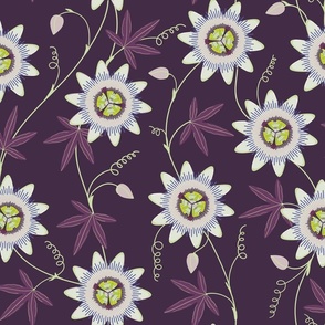 Calming passiflora purple