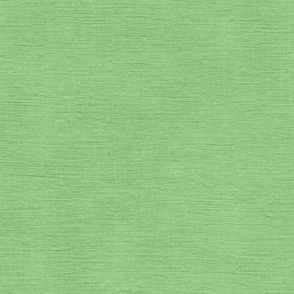 pistachio green with fine linen texture - solid color with texture