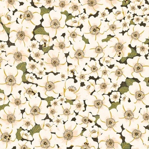 Creamy white flowers on Dark Brown with Bumble Bees - Floral with Pollinators