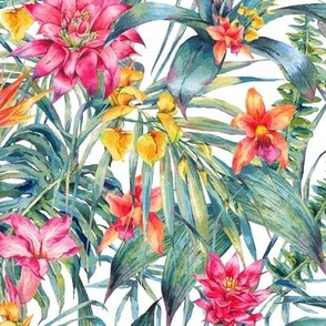 Watercolor tropical flowers  and leaves on white