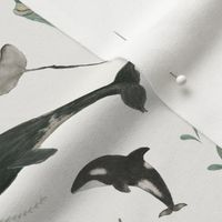 Whales song - off white background (small)