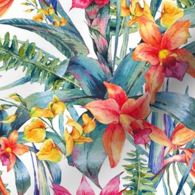 Watercolor tropical flowers  and leaves on white - L