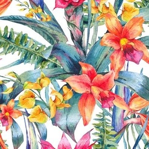 Watercolor tropical flowers  and leaves on white - L