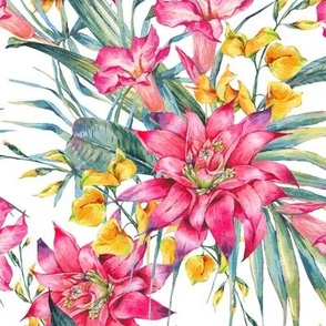 Watercolor tropical pink flowers  and leaves on white