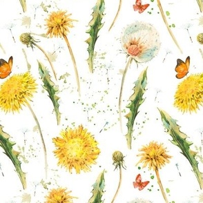 Watercolor spring yellow dandelion flowers on white