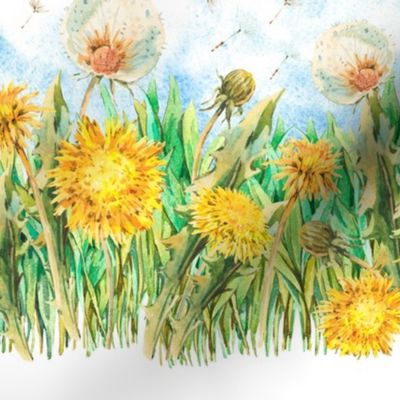Watercolor spring yellow dandelion flowers on white
