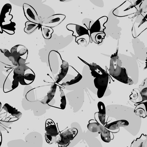 Butterfly Galaxy black and White Stars