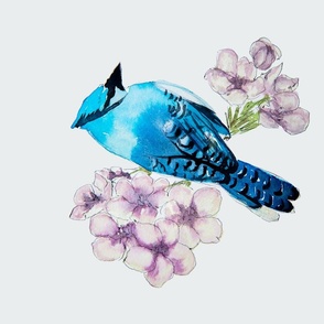 Blue jay songbird in violet apple blossoms wall hanging and tea towel watercolor painting on white and quilt panel / fabric panel