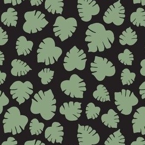 Amy color Cute monstera leaves