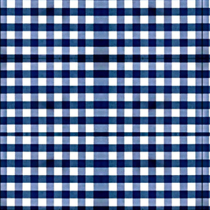 Gingham bluez