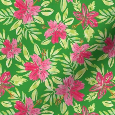 Tropical Pink Hibiscus Flowers on lime green